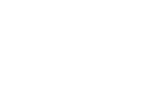 וידיס שירותי ניהול